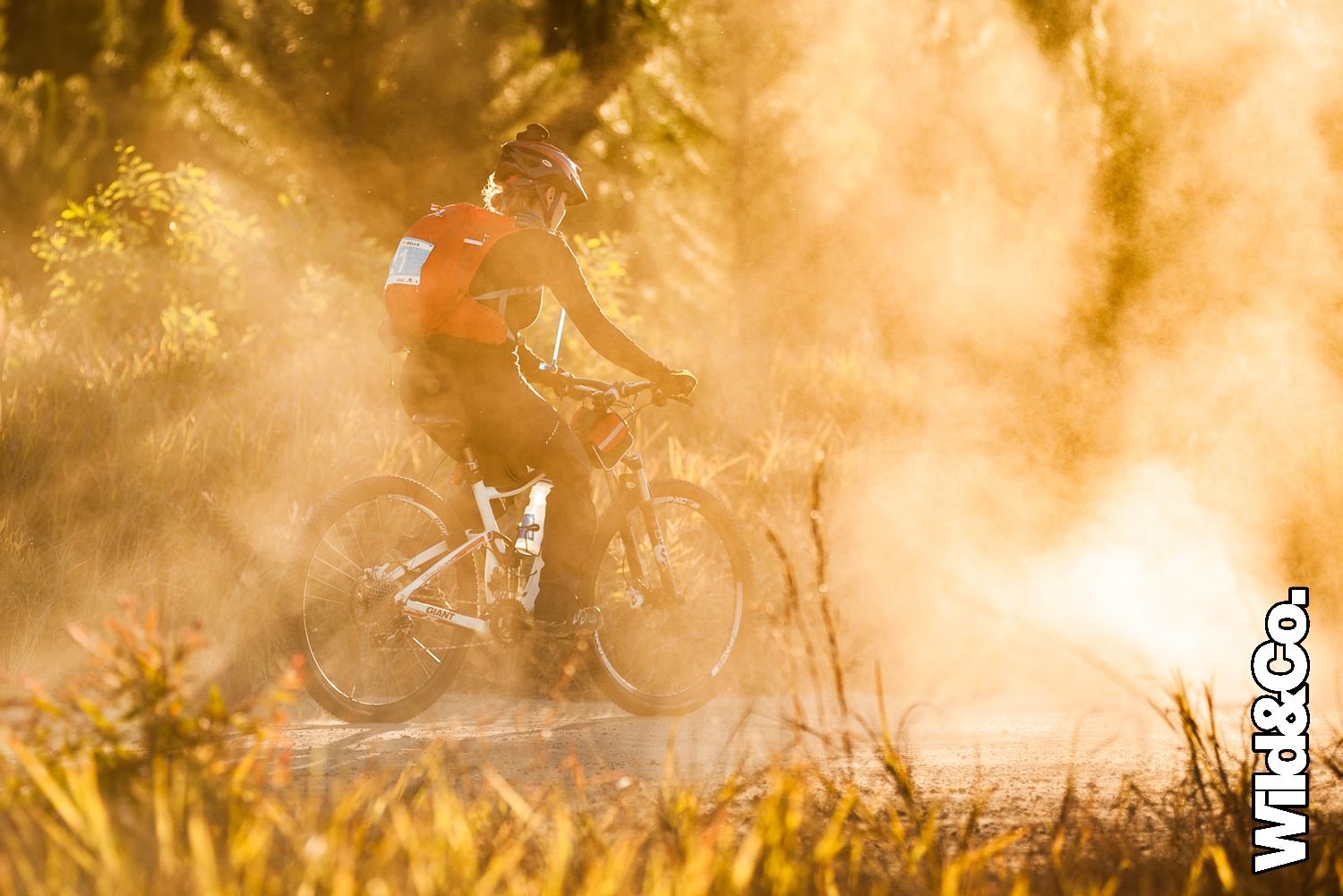 Some of our favourite images from Hells Bells ever

Shot by Michael Page and Erren Sieders &ndash; they absolutely nailed the golden hour images in the state forests near Cochin Creek. Was a real maze in there too with course setting supported by Dav