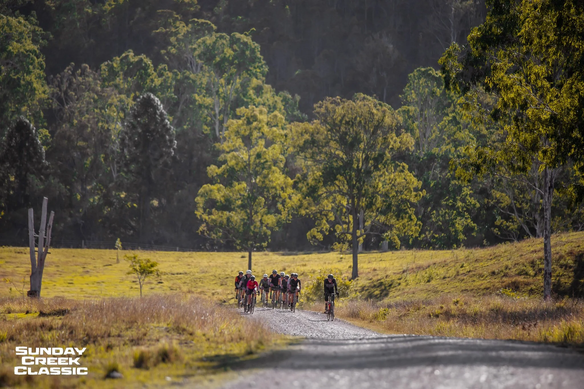 Exiting the state forest and into the Bella Creek Road section for a magnificent section of un-fenced gravel road and rolling hills heading to the base of Mt Buggery.

Early Bird Entries are open for the Sunday Creek Classic at www.sundaycreekclassic