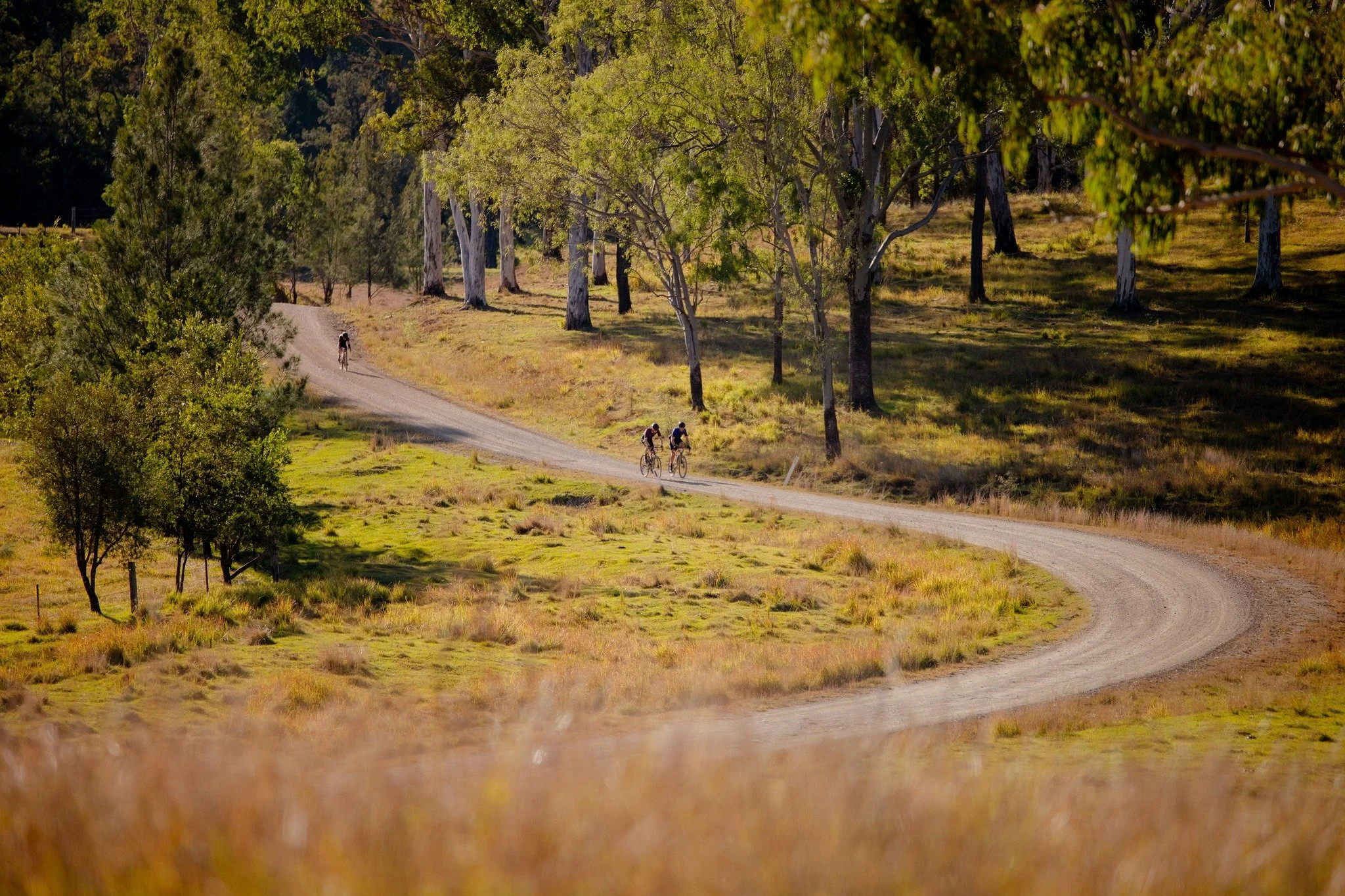 This is such a great section of the ride...it's pre-Mt-Buggery and an amazing section of countryside.

#gravelgrinder #gravelbike #radavist #cyclingtips #cyclingphotos #sunshinecoast #kenilworth #gravelcycling #adventurecycling #mtbmarathon #crosscou