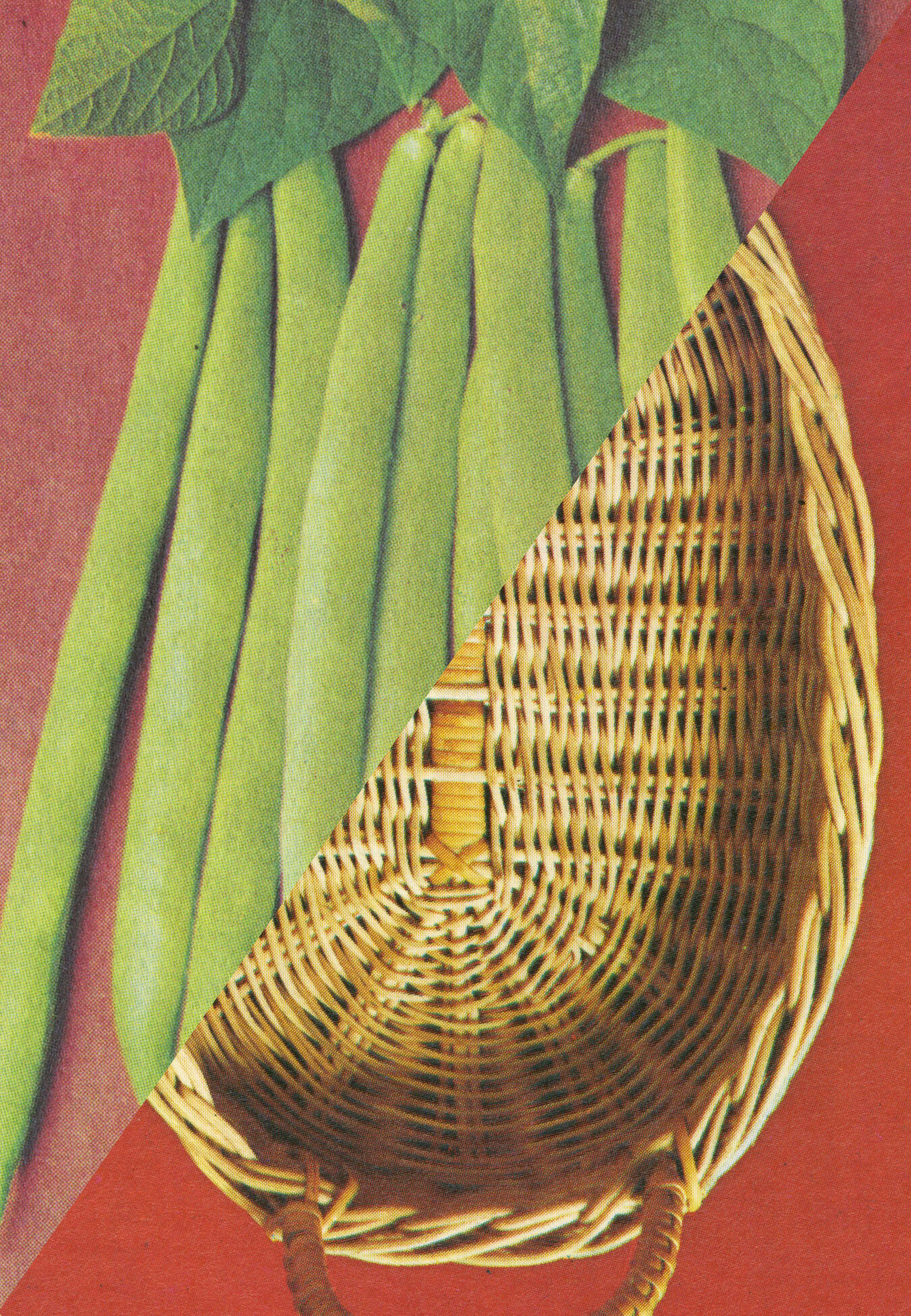  postcard included in   Baskets  book 4 x 6 inches edition of 25, 2015   