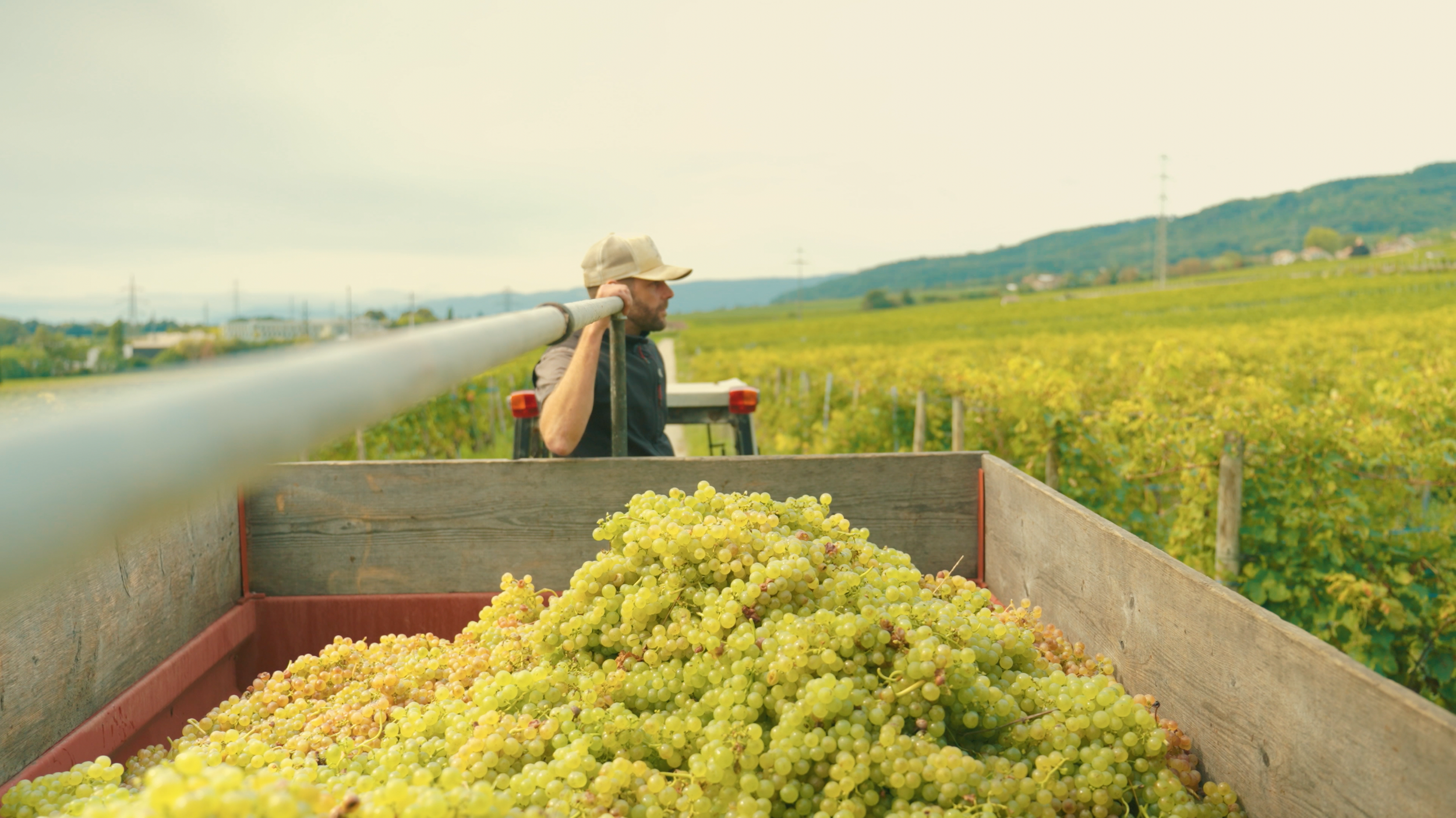 Capture d’écran 2026-01-01 à 17.53.11.png