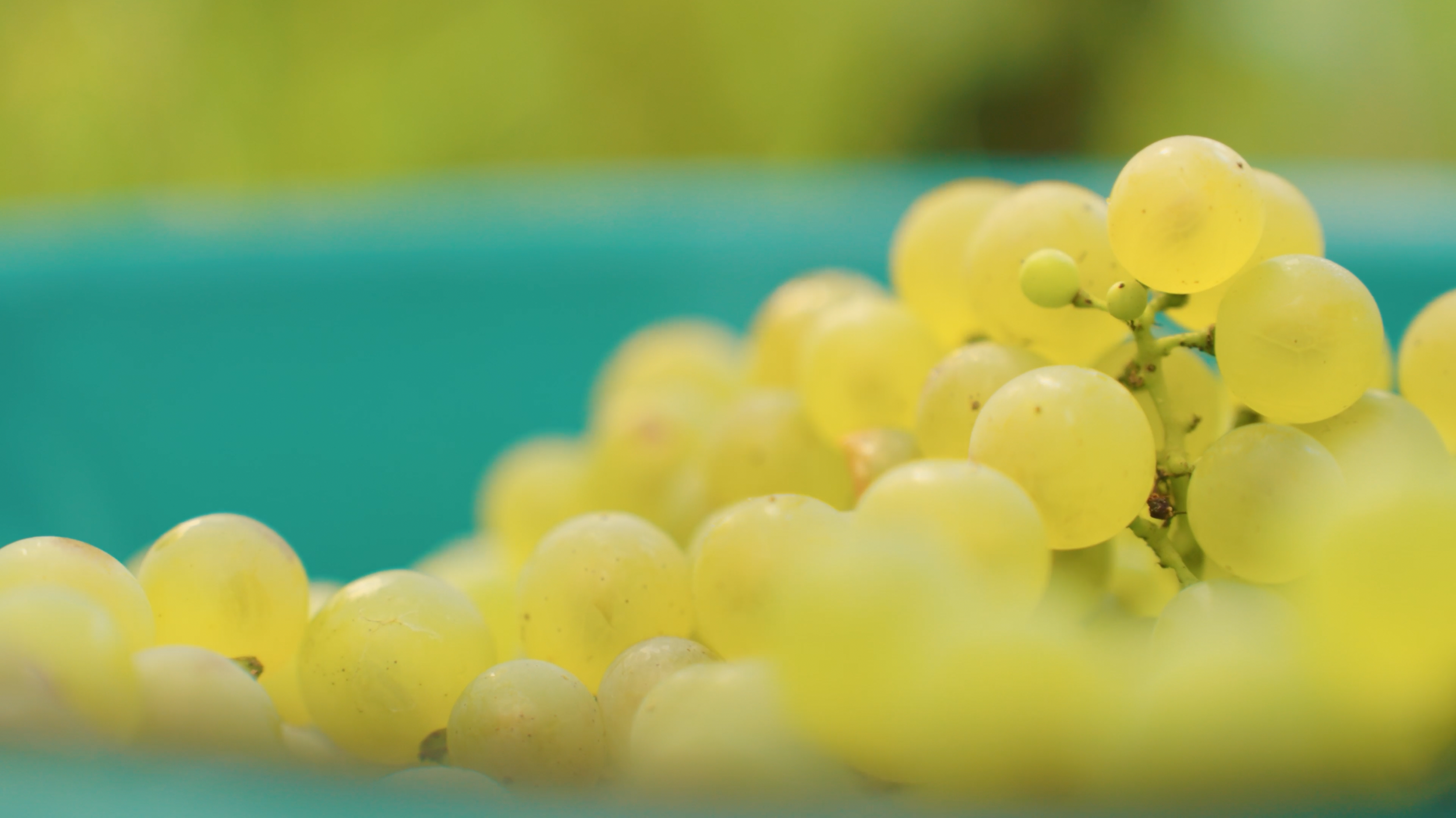 Capture d’écran 2026-01-01 à 17.56.37.png