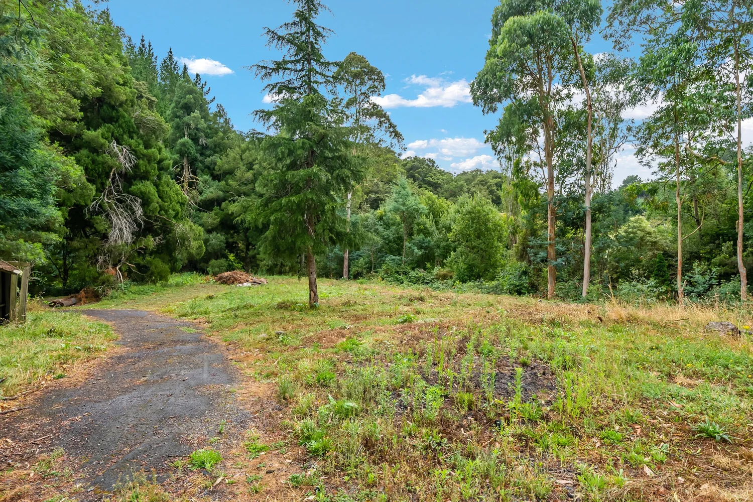 75 Gorrie Road — Team Ledger Real Estate Harcourts Hutt Valley