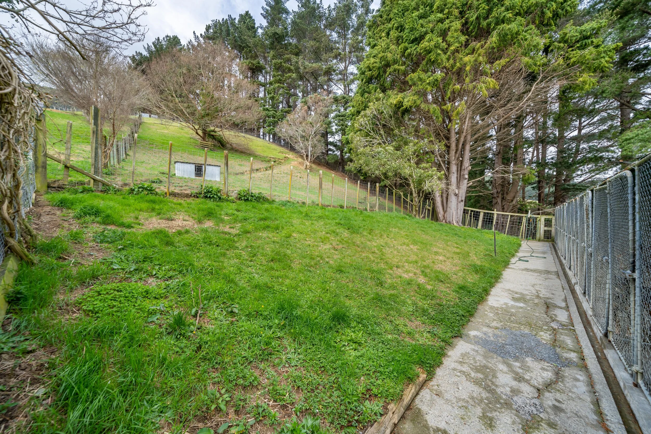 08- Whitemans Valley Road (527).jpg