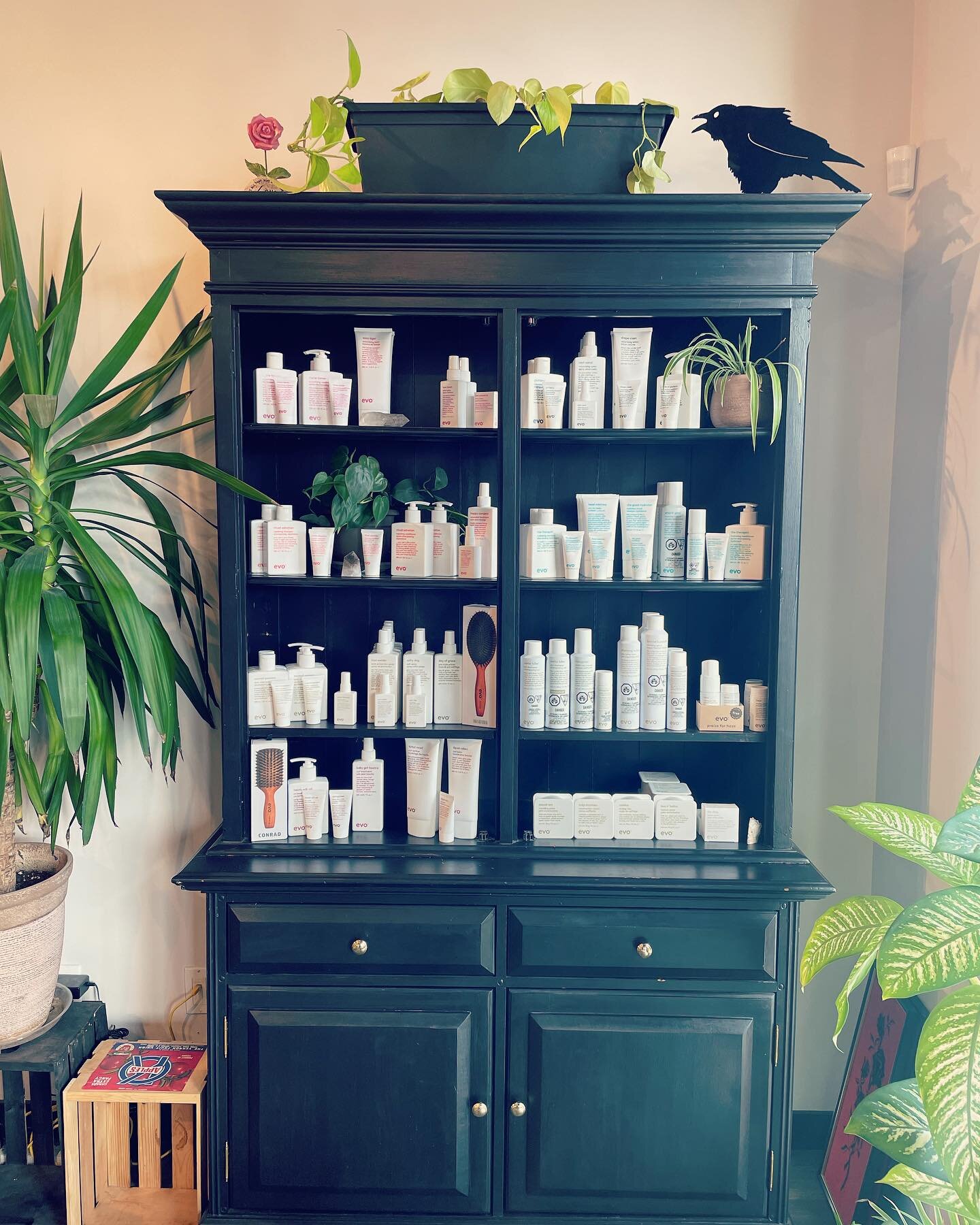 Our beautiful front end and @evohair display got a makeover. Thanks @colourbycharlee for the amazing cabinet. Our favourite haircare line really pops in the new display. 

@evopro @d.raineged.hair 

#salon #salonretail #antiques #vintage #evohair #ha