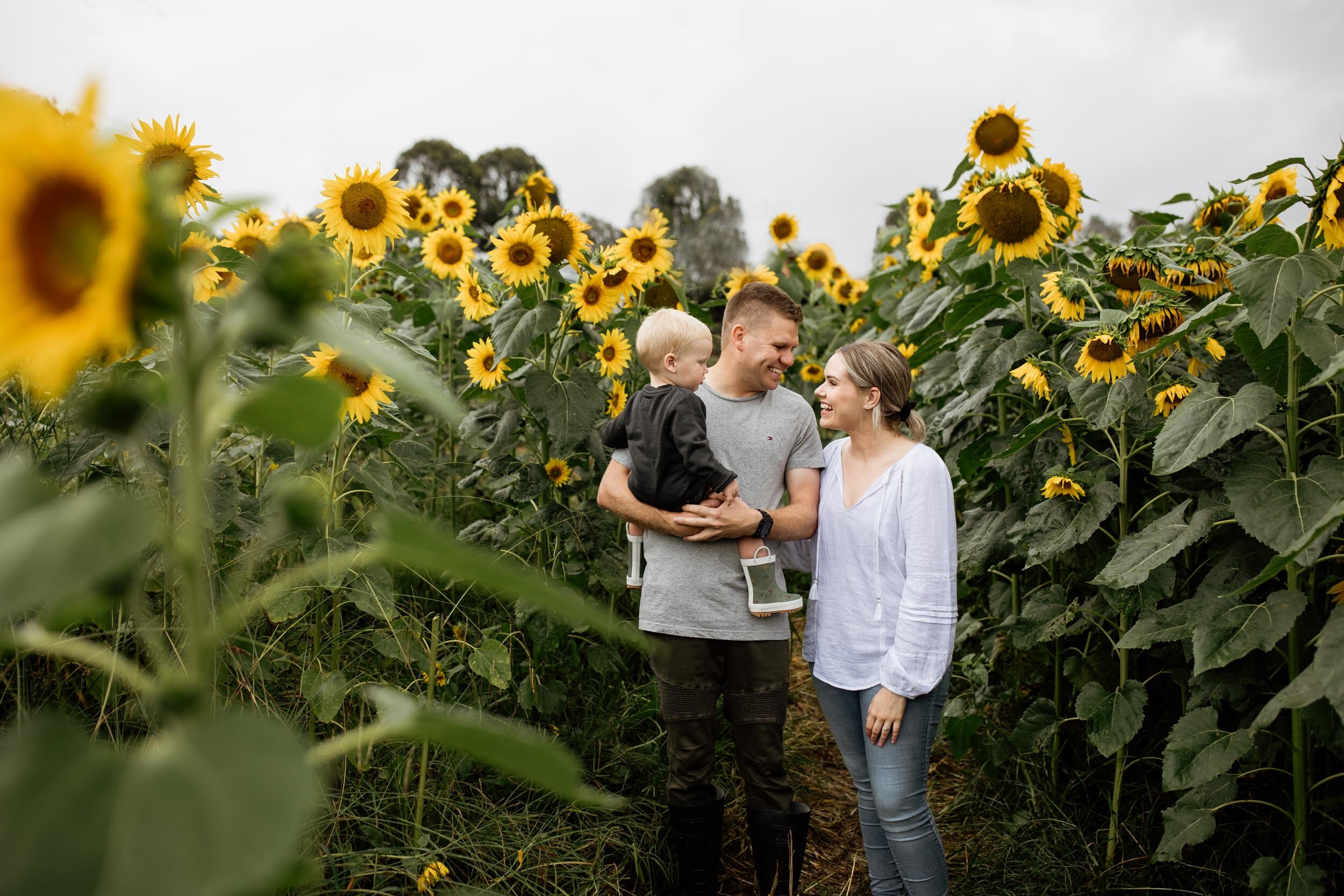 Sydney Family Photography - Sunflower Session