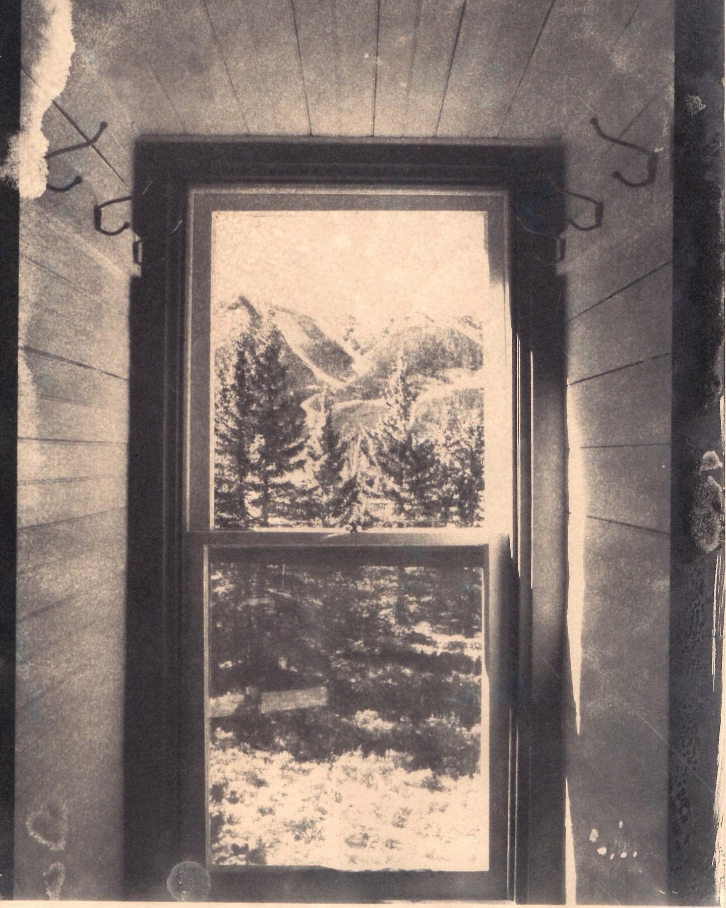 What is a Cyanotype? Well the dictionary defines it as a photographic blueprint! 

A Cyanotype is a photographic printing process that produces a cyan-blue print. Engineers used the process well into the 20th century as a simple and low-cost process 
