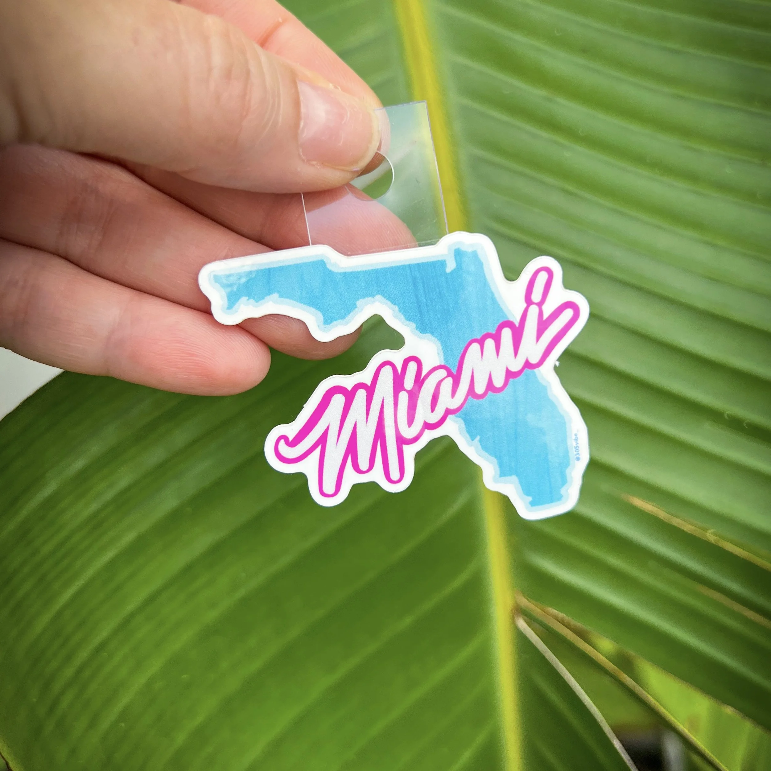 Sticker of the state of Florida in light blue with the word 'Miami' in pink cursive across it, held by a person's hand against a green leaf background.