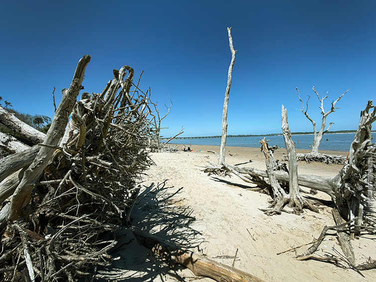 Coastal Cruising:  Day Trip from St. Augustine to Amelia Island