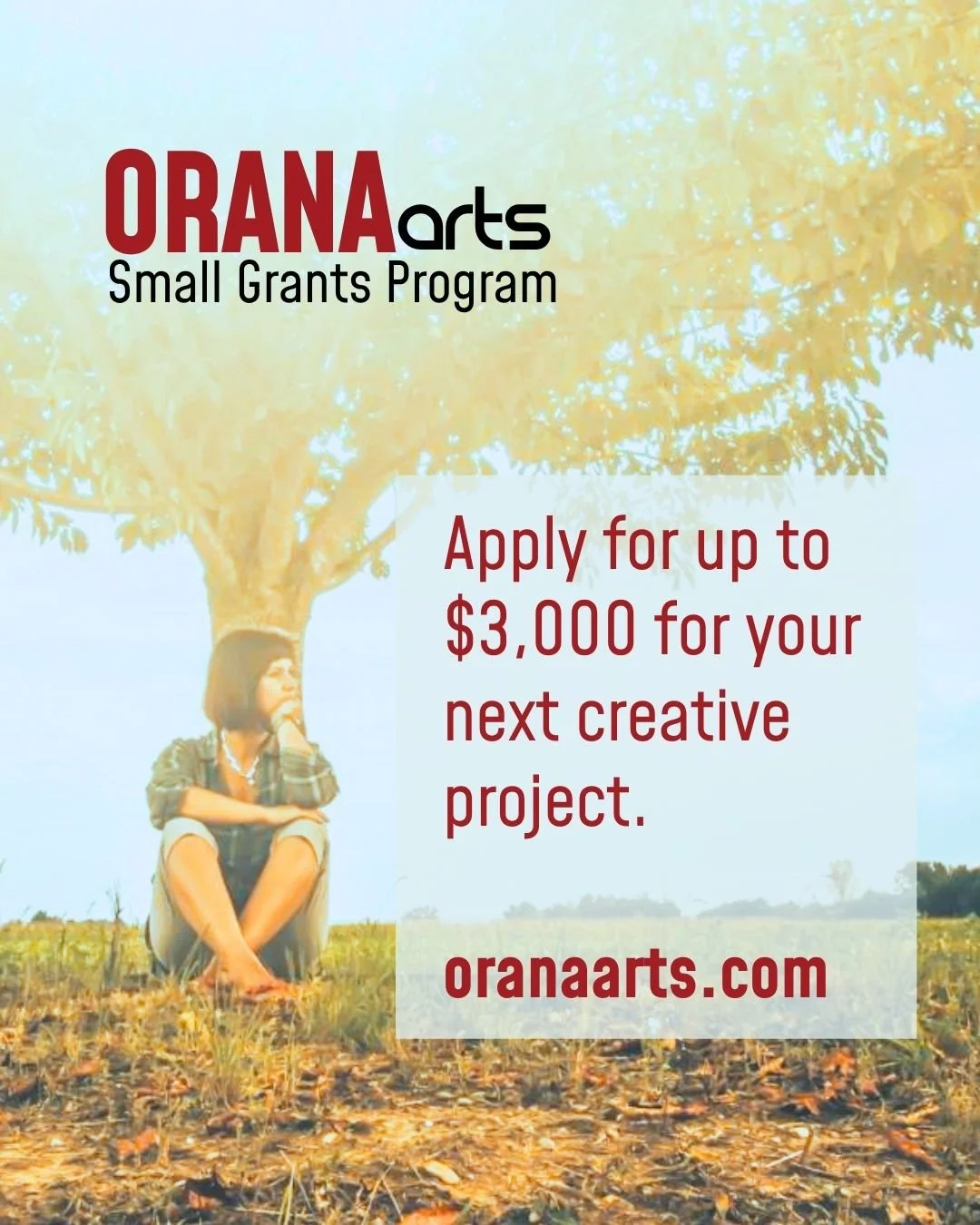 The 2O26 Orana Arts Small Grants Program