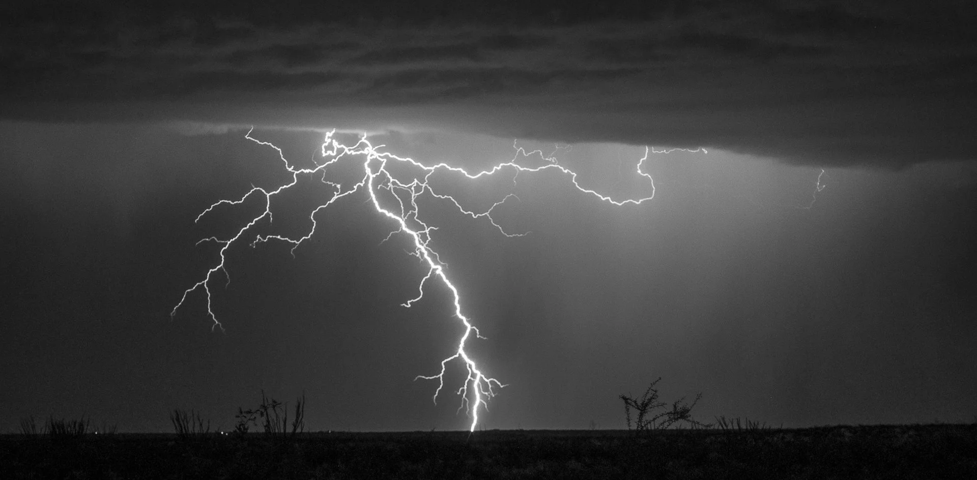 Monsoon Season 2025