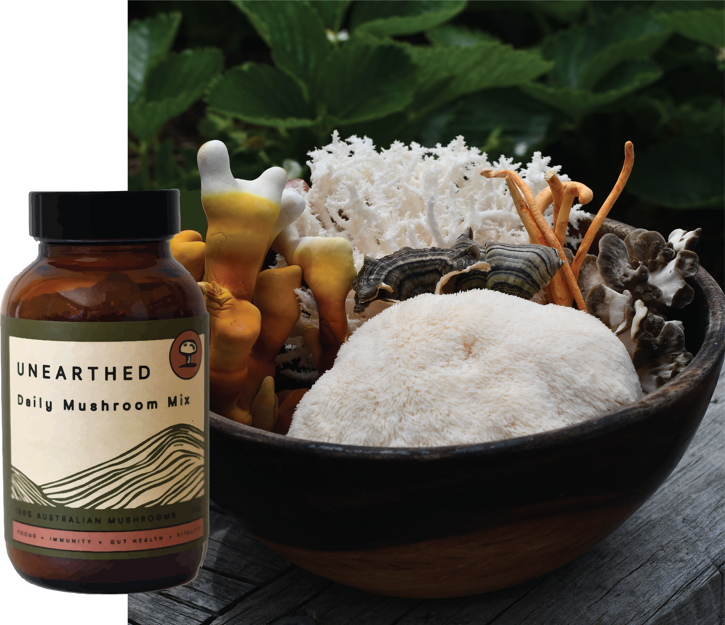 Daily Mushroom Mix 100g