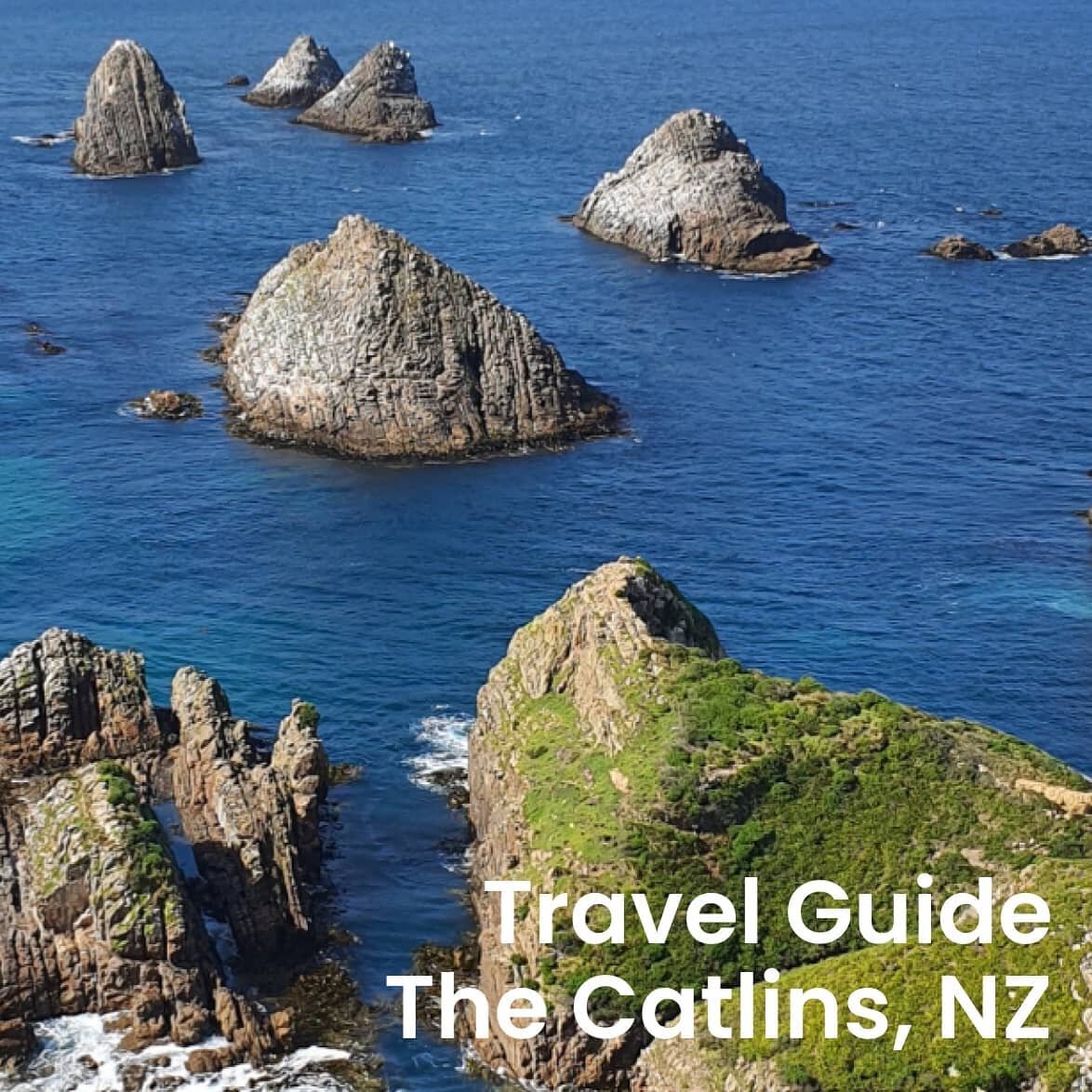 I put together a wee travel guide around some must see spots down in The Catlins. I&rsquo;d never heard of this place until last year, and it turns out there of some of NZ's most spectacular spots hidden away down there. Head over to my blog via the 