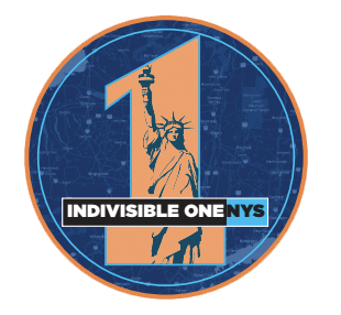 Indivisible OneNYS Statewide Call on Zoom