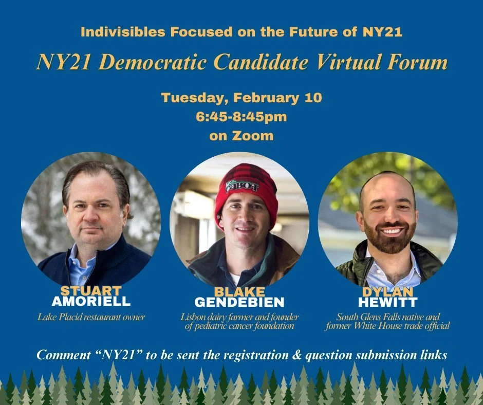 NY21 Democratic Candidate Forum by Indivisibles
