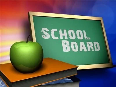 School Board Elections and School Budget Votes