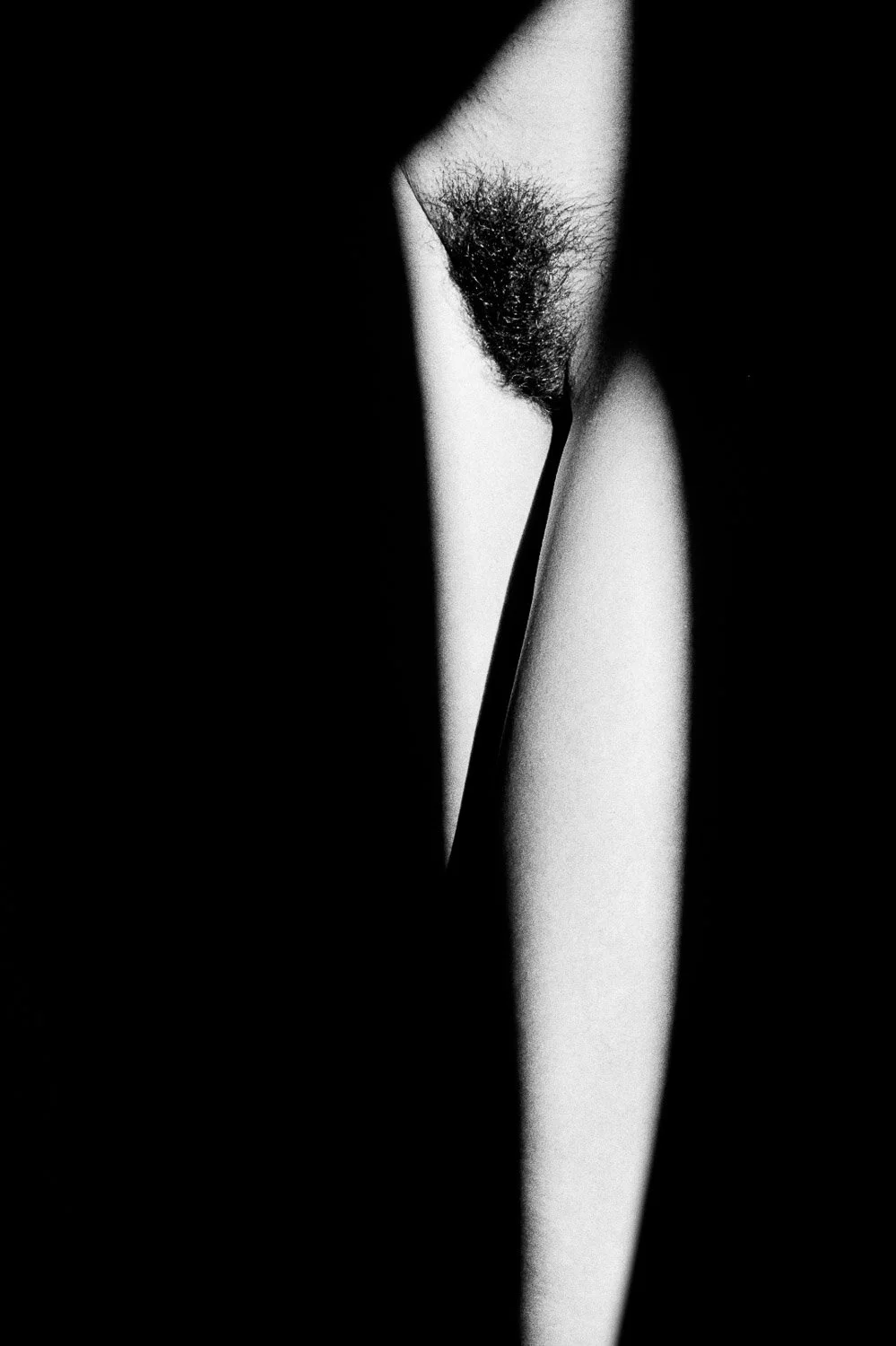010_3483 - 1.jpg
