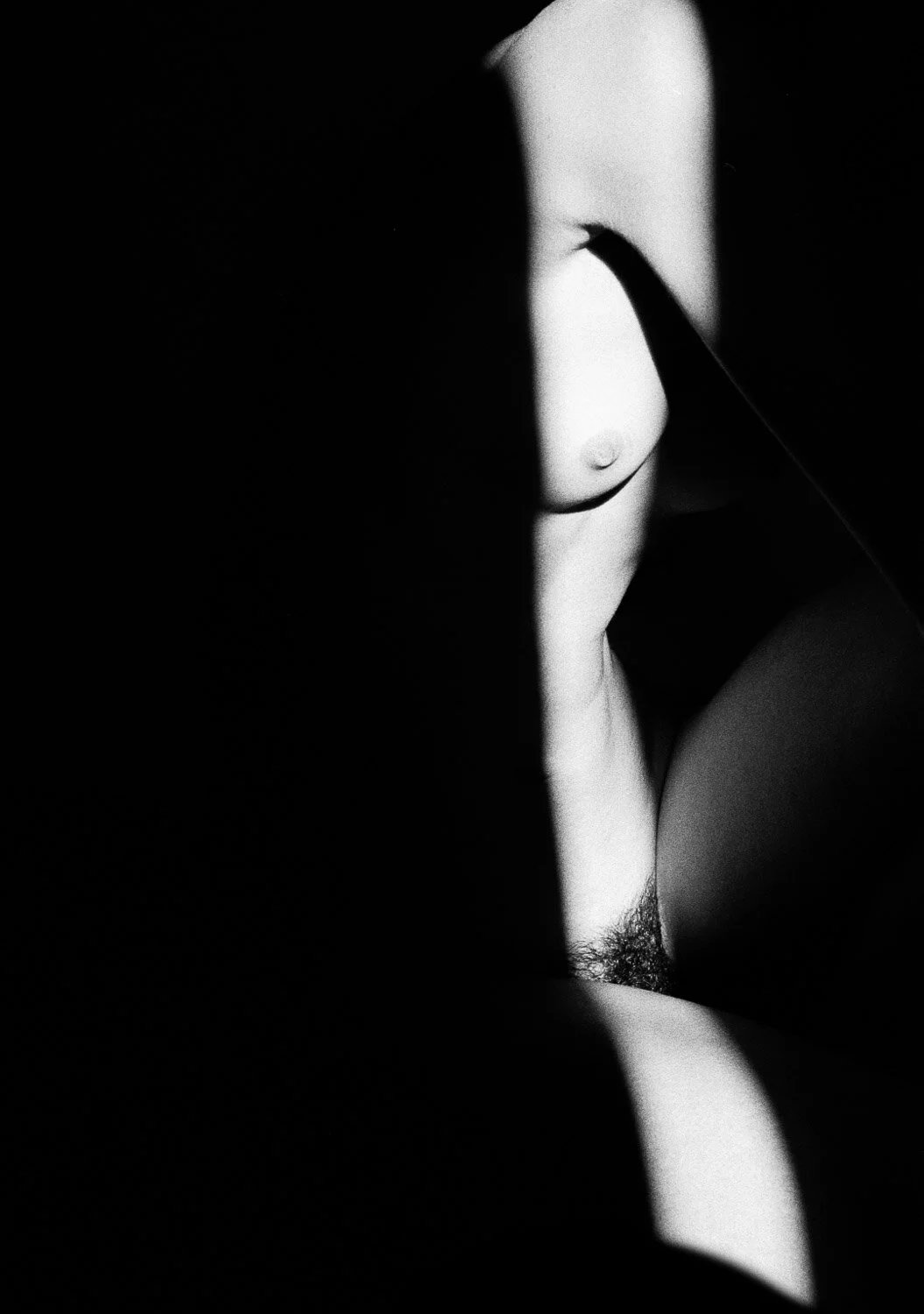 033_3483 - 3.jpg