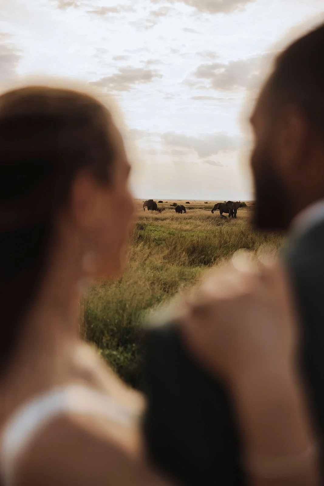 maasimara2-amboseli-elopement-fine-art-pre-wedding-shoot-kenya-etstudios00001.jpg