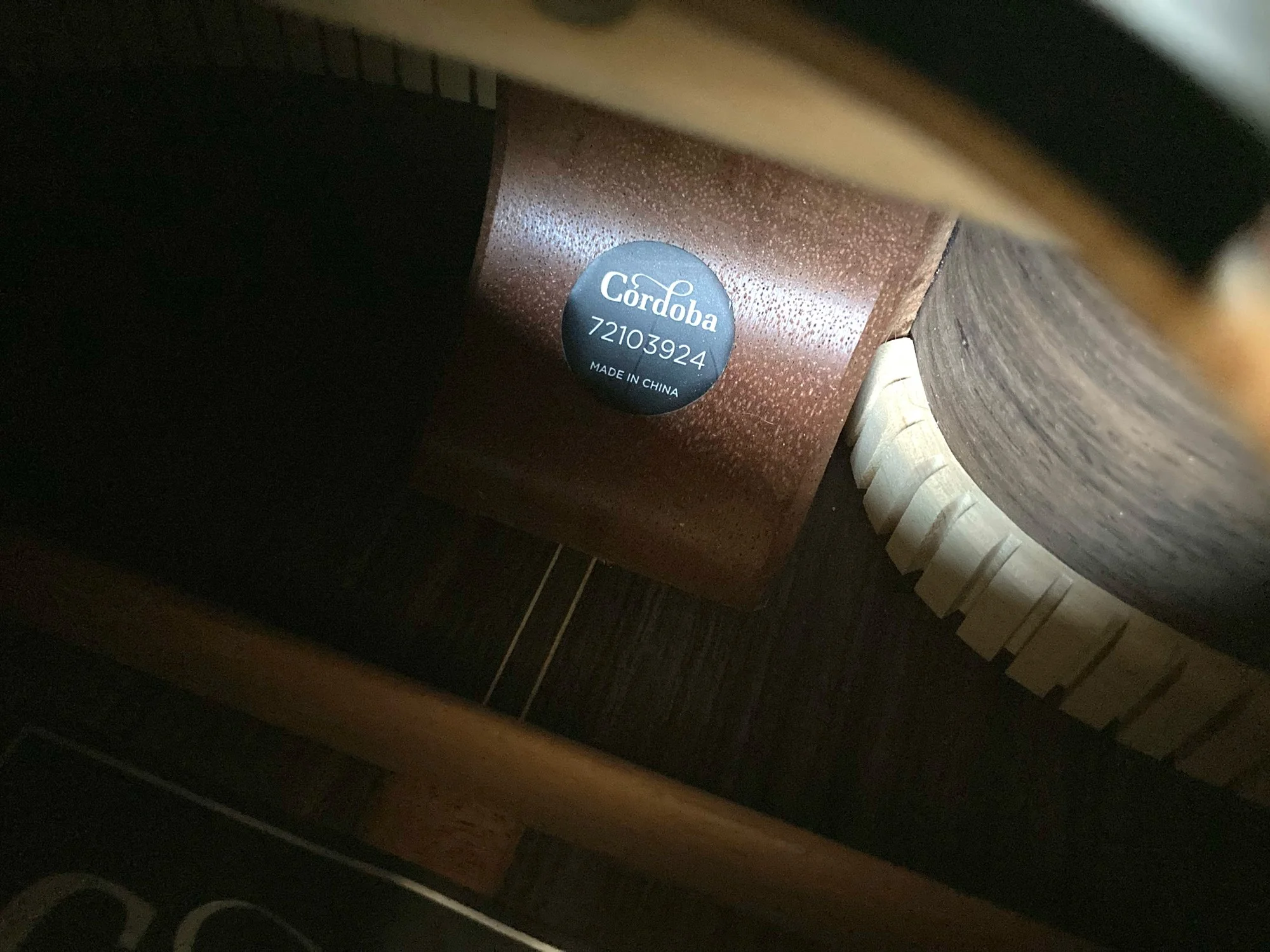 Damaged guitar - serial number