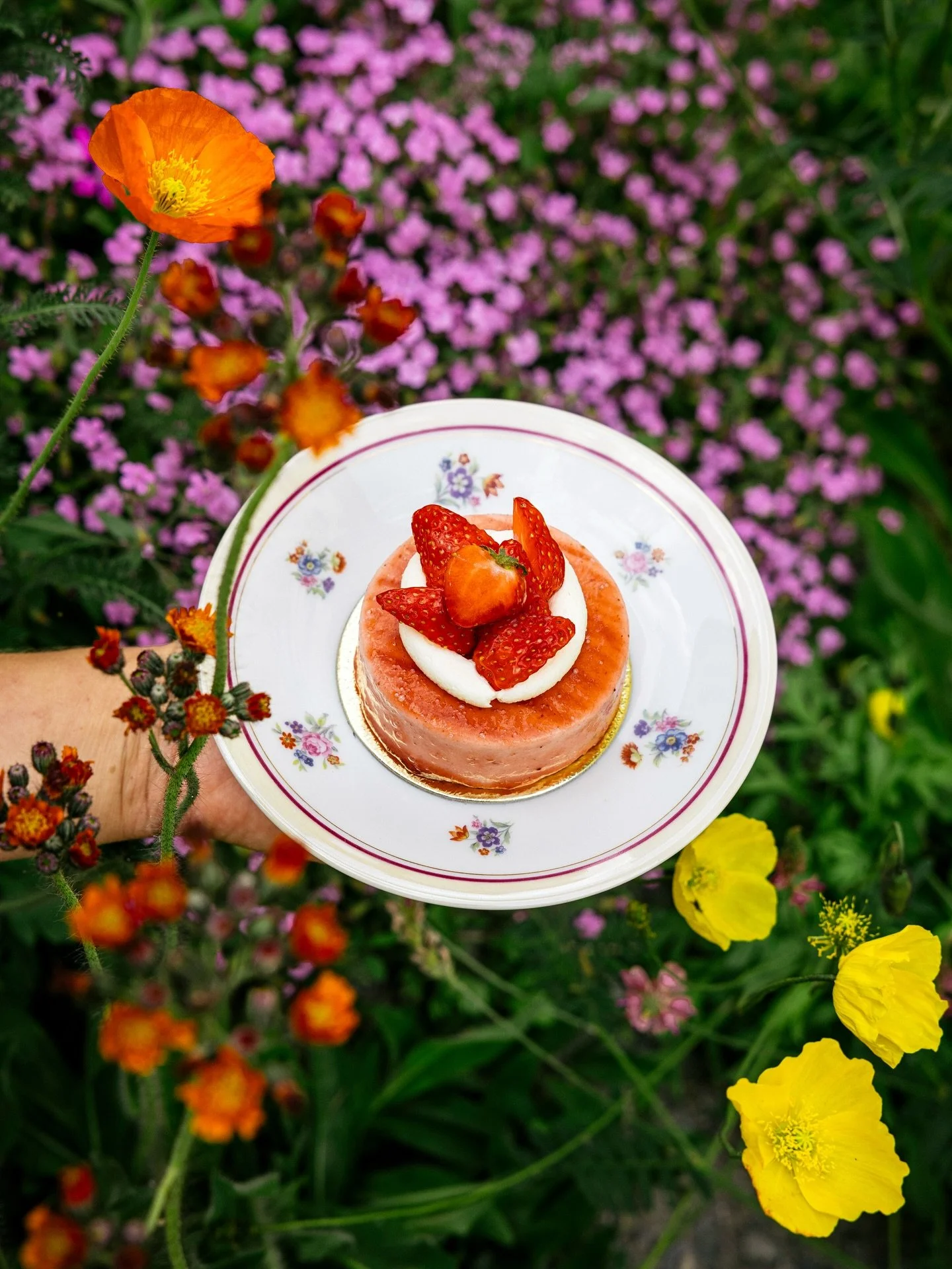 Le #printemps dans l&rsquo;assiette!
Gute Schweizer Erdbeeren, Eier aus Ardez, Rahm und Butter aus dem Engadin &mdash; et voil&agrave; ! Erh&auml;ltlich als Einzelportion oder auf Bestellung f&uuml;r 6-8 Personen.

Photo @bruno.augsburger ❤️
#patisse