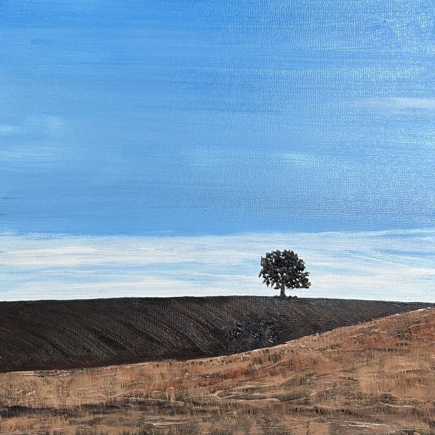 Spanish Tree, 12x12ins, oil on board - SOLD