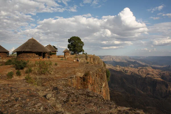 A Walk on the Wild Side