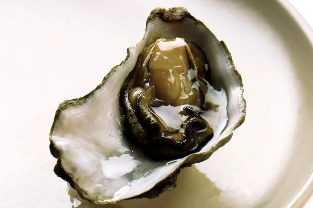 My experience of London? Pride came before offal