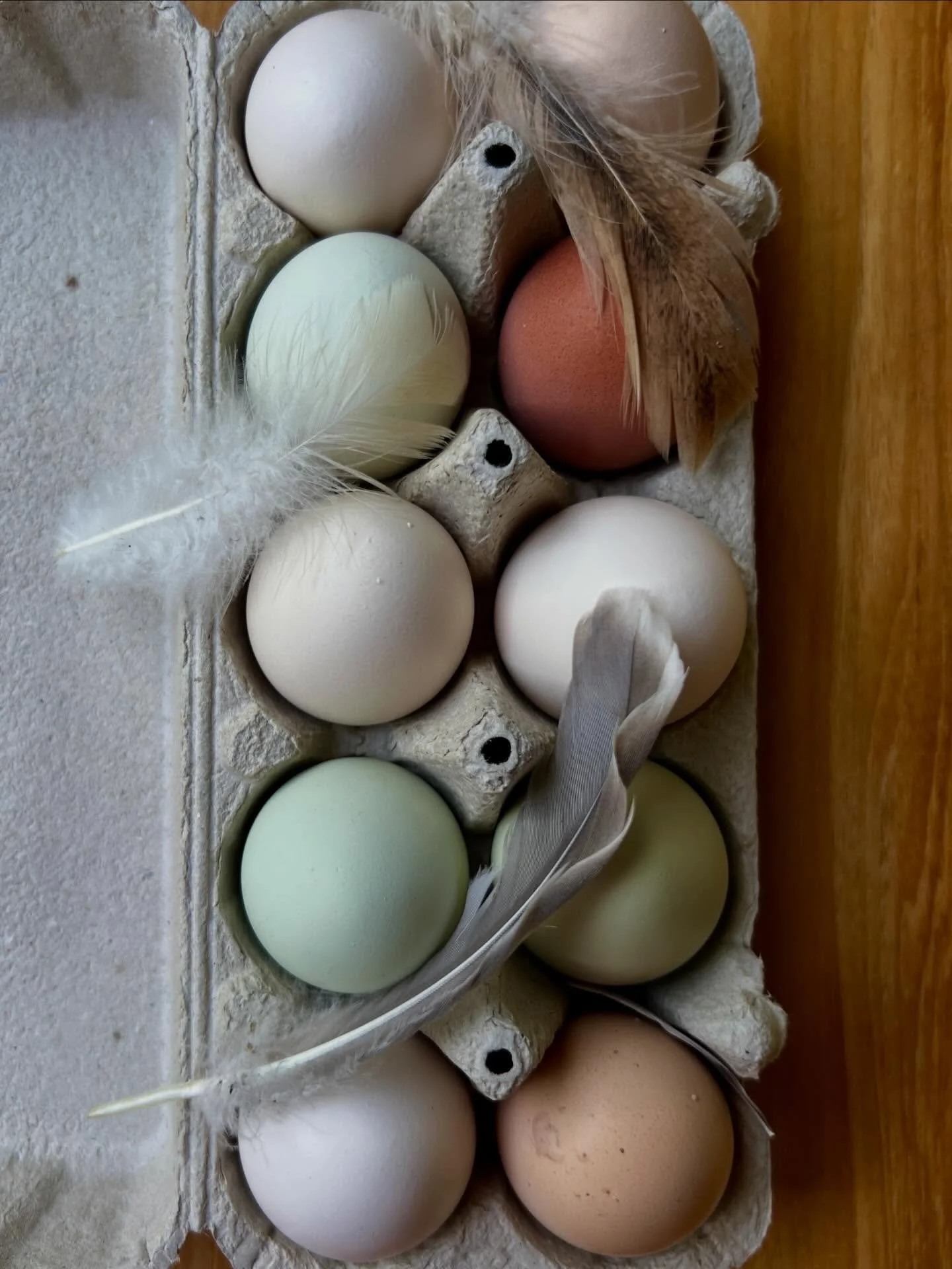 wenn meine liebe eierb&auml;uerin eine passende l&lsquo;annette sucht 🥚👜💛