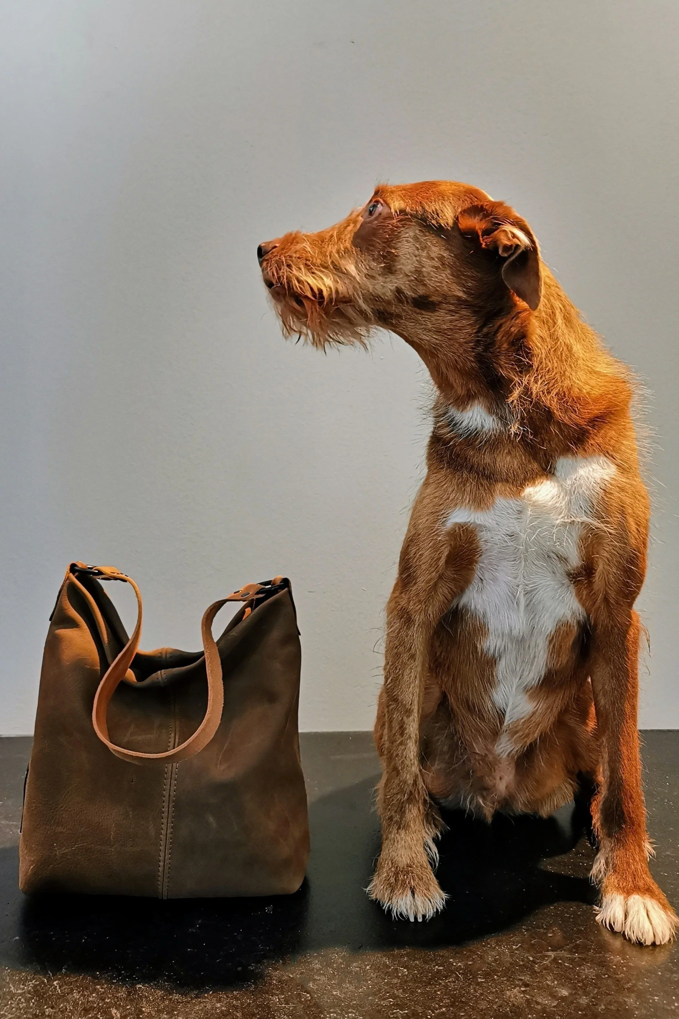 PSFix_20231203_154849 insta.jpg