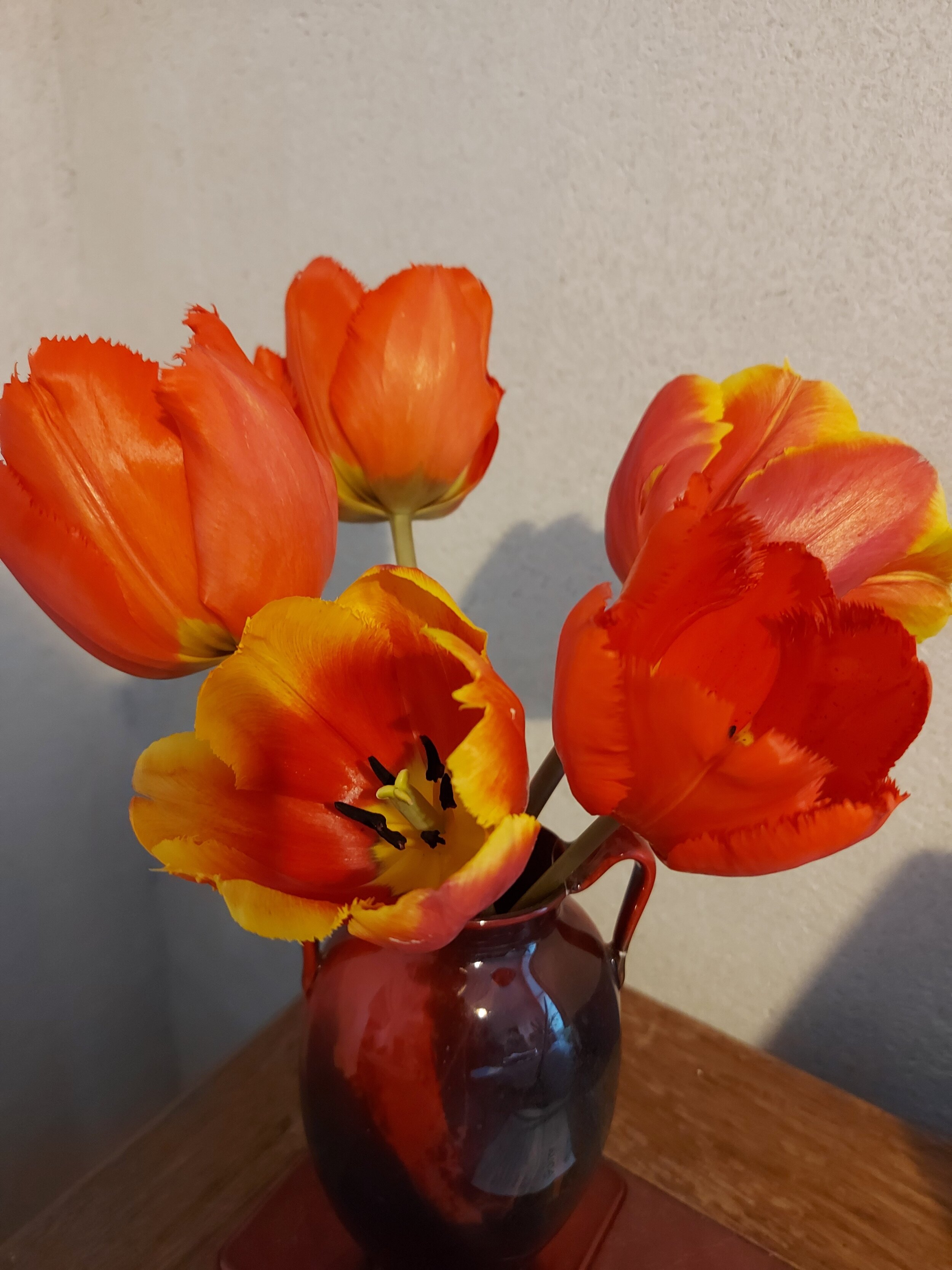 Daffodil &amp; Tulip order has been placed for next year