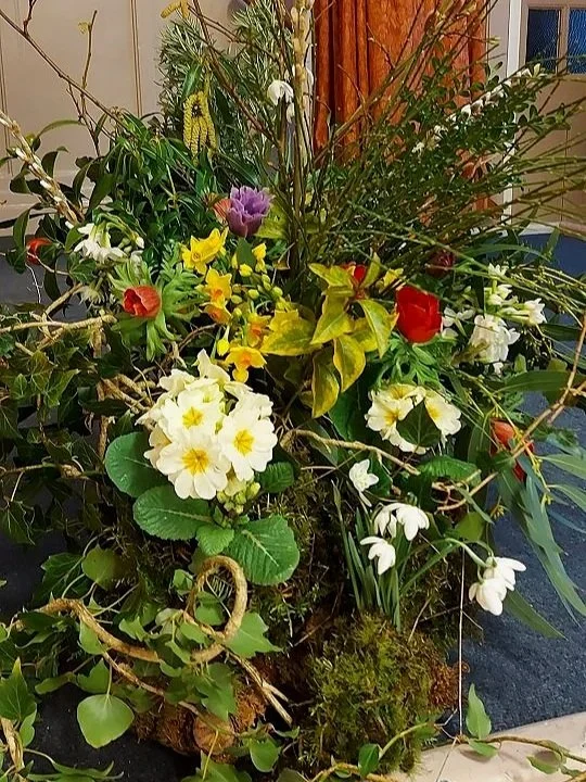 Wake display for an environmentalist, all sustainable and natural