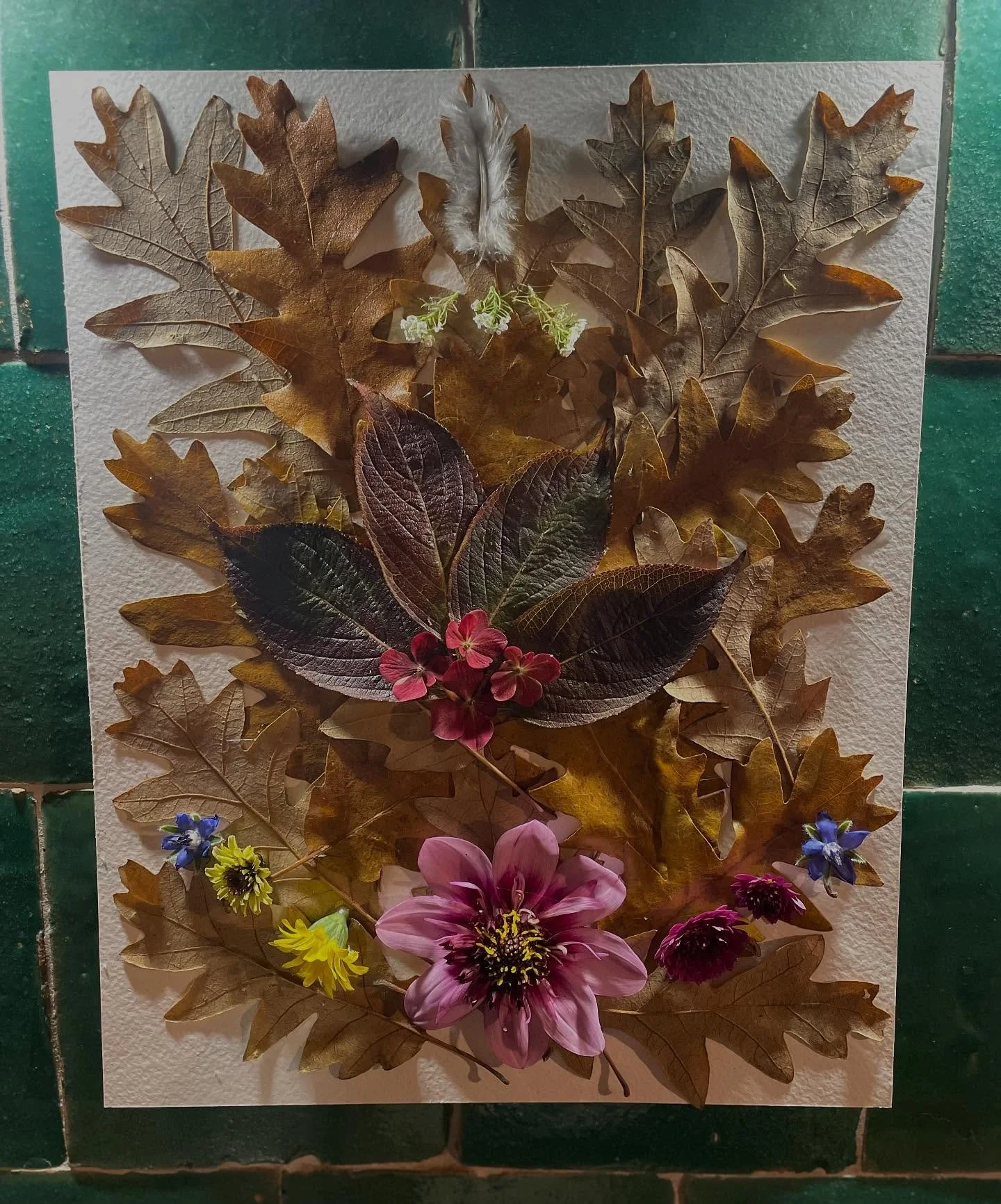 Vanochtend tijdens m&rsquo;n ochtendwandeling besloot ik om een aantal blaadjes 🍂 die van de boom gevallen waren mee naar huis te nemen. 

Waarom?

Met m&rsquo;n hoofd kon ik er geen logische reden voor bedenken.

Ik merkte alleen dat ik blij werd v