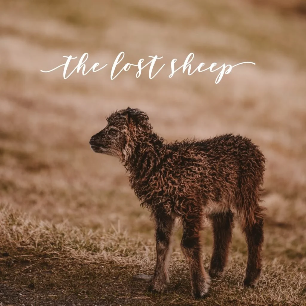 The Lost Sheep - Joel Kendall 