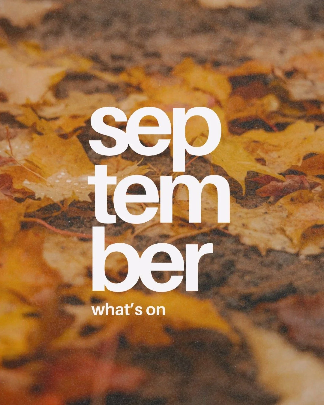 September is here and we have lots coming up at Emmanuel! 🍂

Our weekly Sunday meetings continue as normal, 10.30am at Oxford Spires Academy - see you then 👋