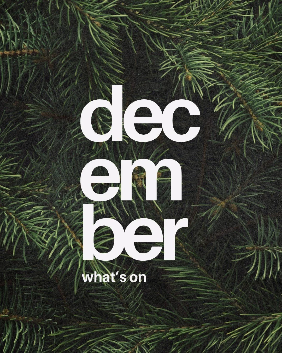 December is here and Christmas is upon us! We'd love you to join us for our Carol Concert this Saturday as we celebrate 'Joy to the World' - all are welcome ✨🎄

(There will be no morning meeting on Sunday 28th Dec.)