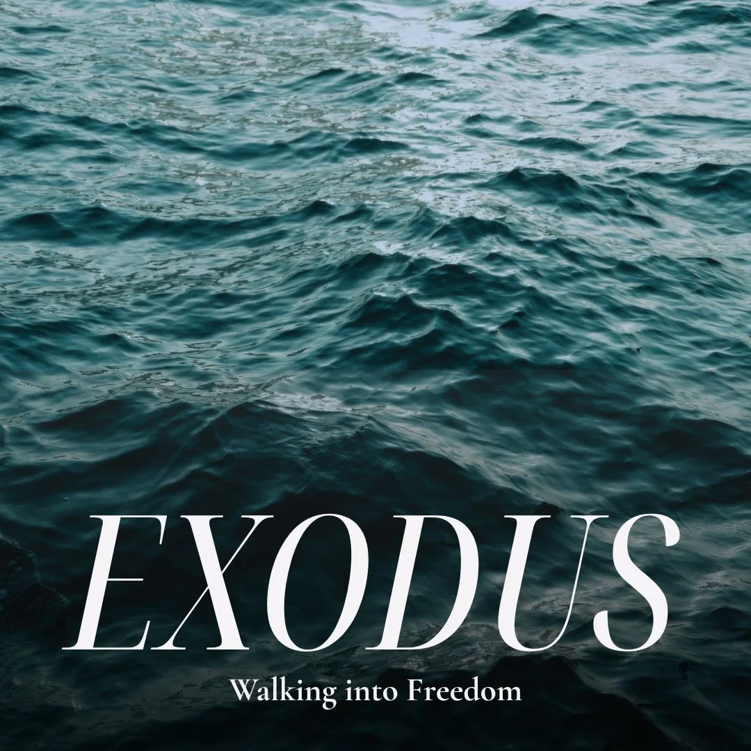 Exodus: Walking into Freedom | The Passover | Helena Harpham