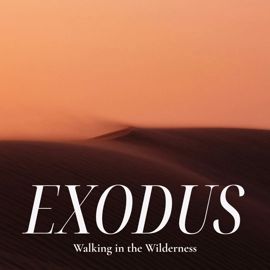 Exodus: Walking in the Wilderness | Idols to Avoid | Sipho Mudau
