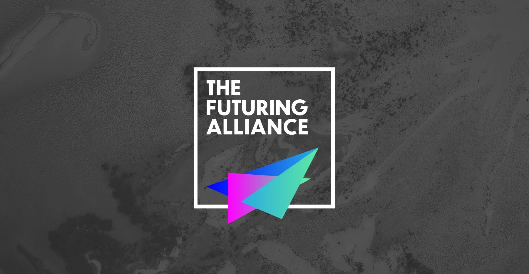 TFA case study thumbnail2.jpg