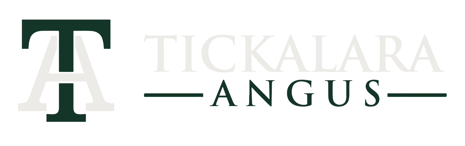 Tickalara Angus