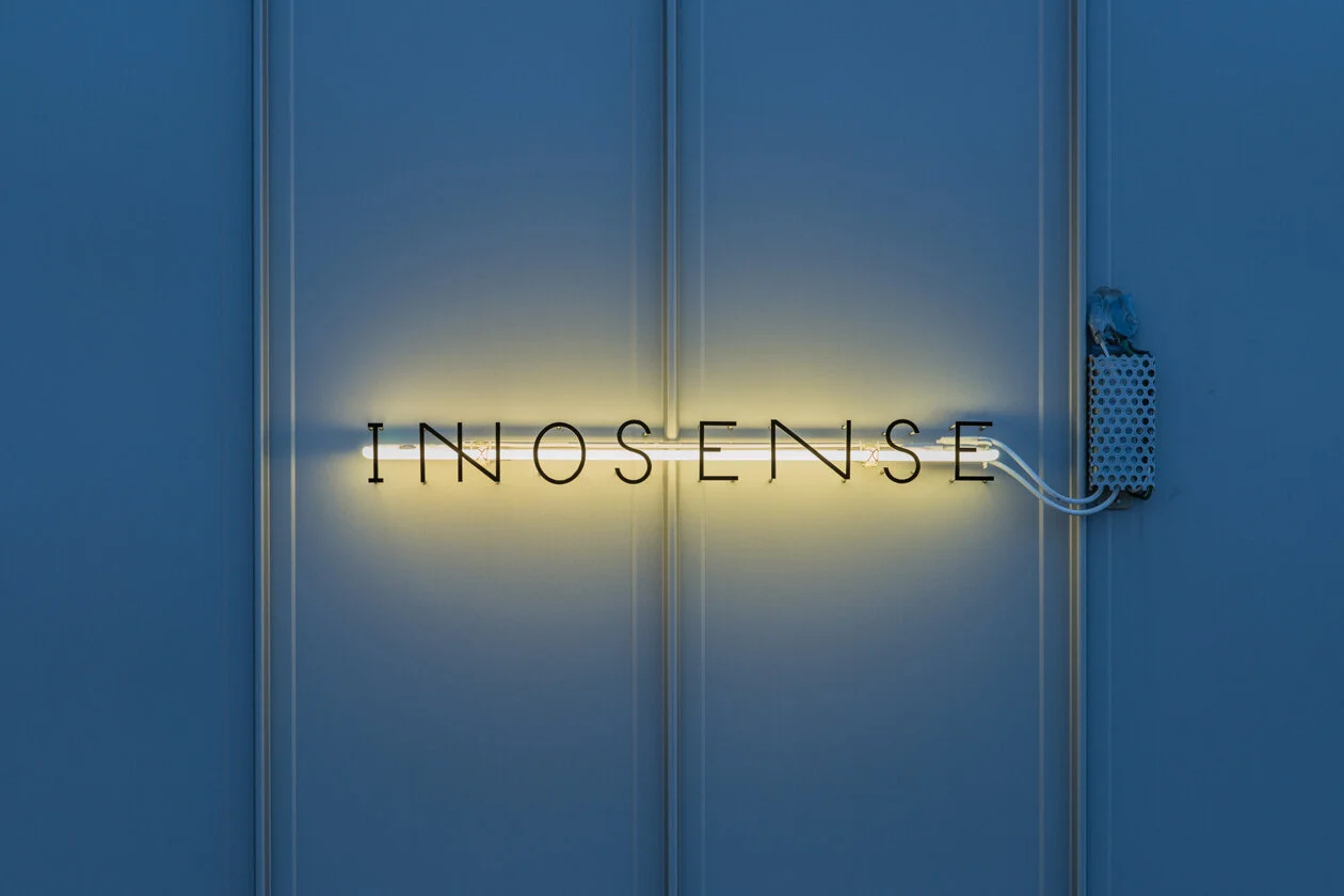 innosense_08.jpg