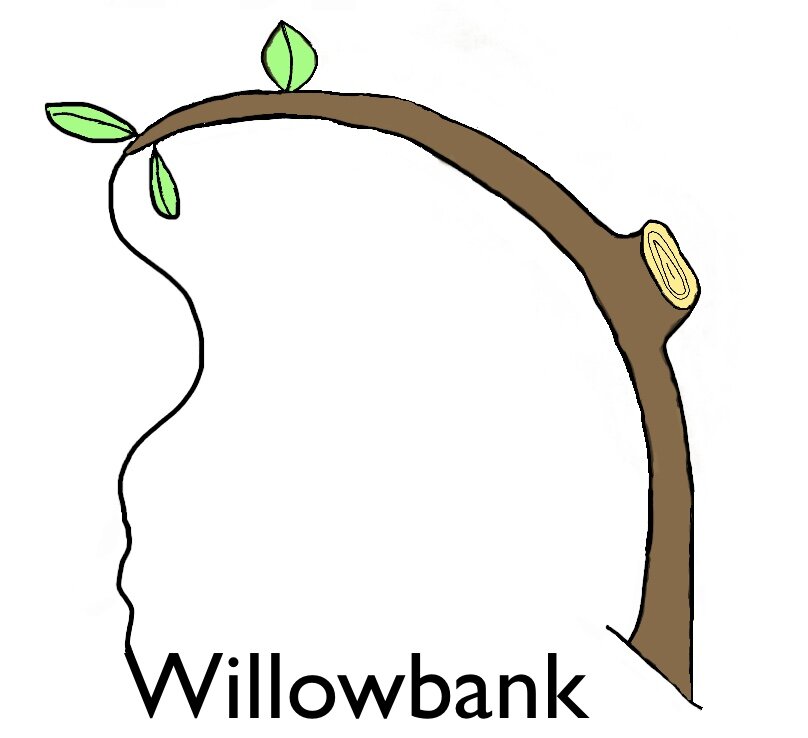 Willowbank Education