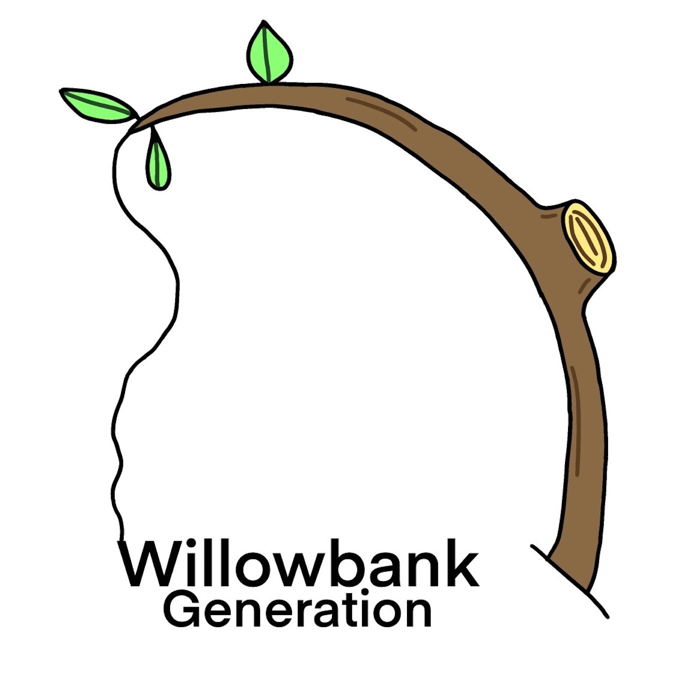 Willowbank Education