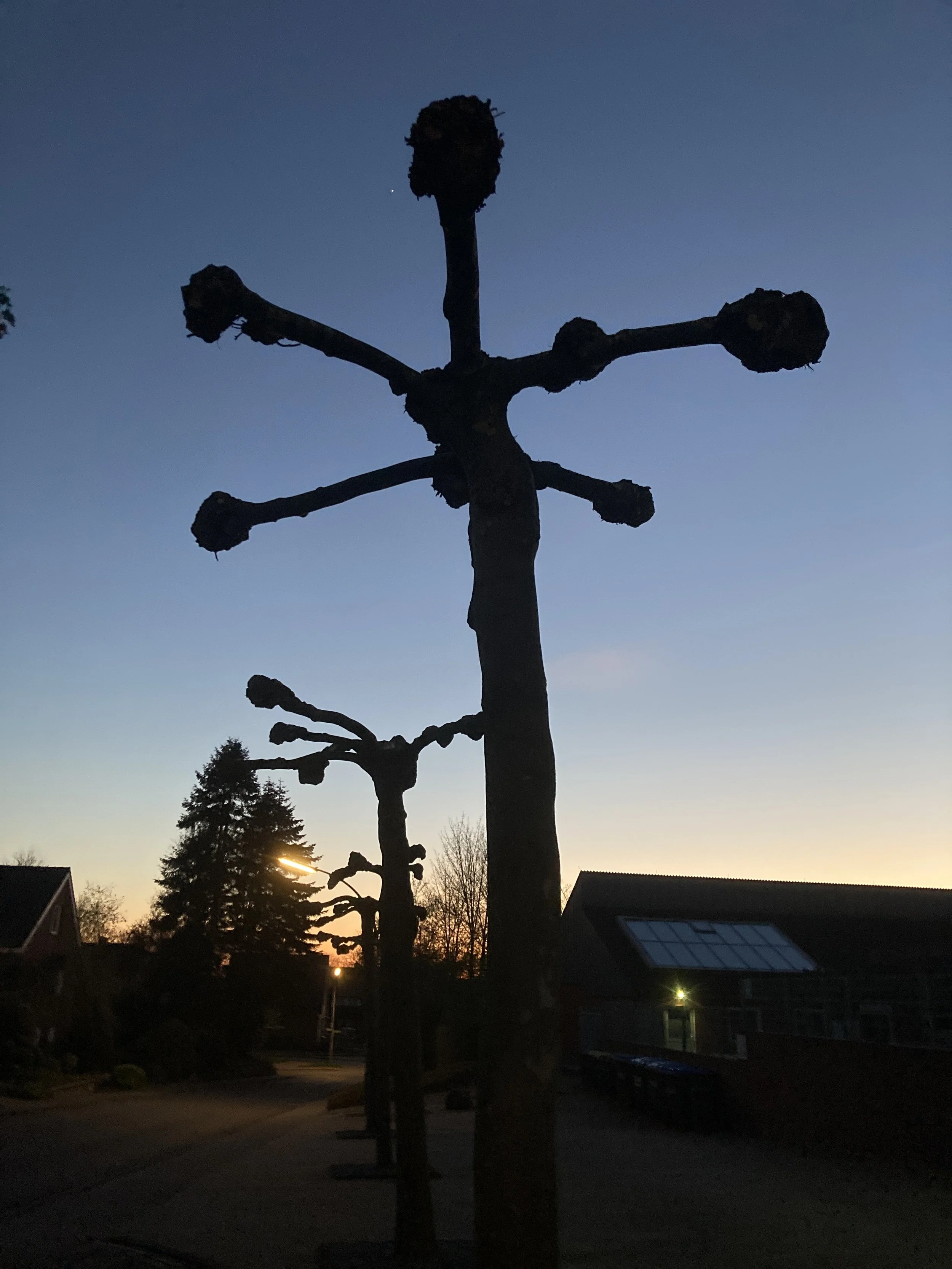 Utopias Bach in Berlin!