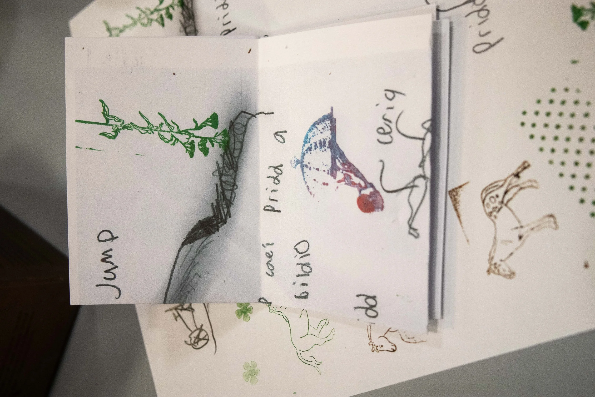 Cynefin creadigol sesiwn 2 22.1.26-14.jpg