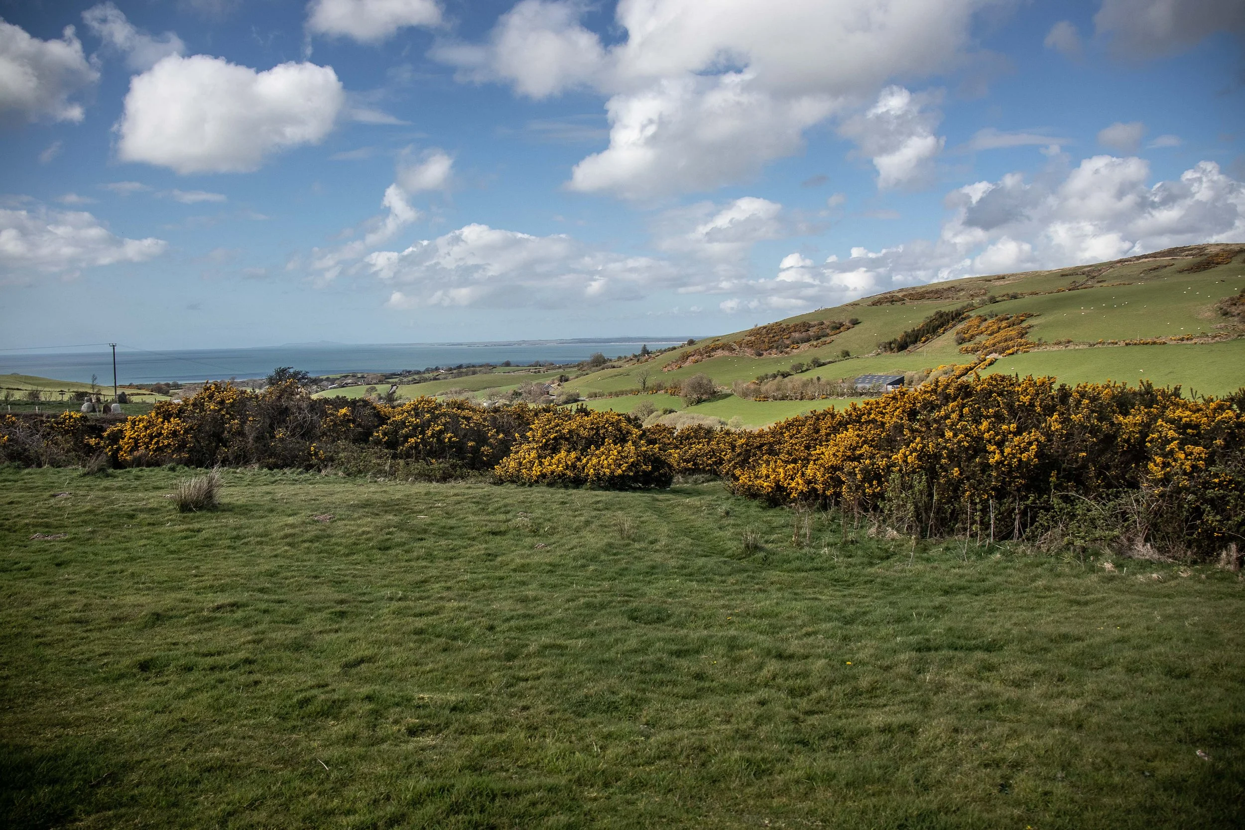 Henbant 13.4.26-14.jpg