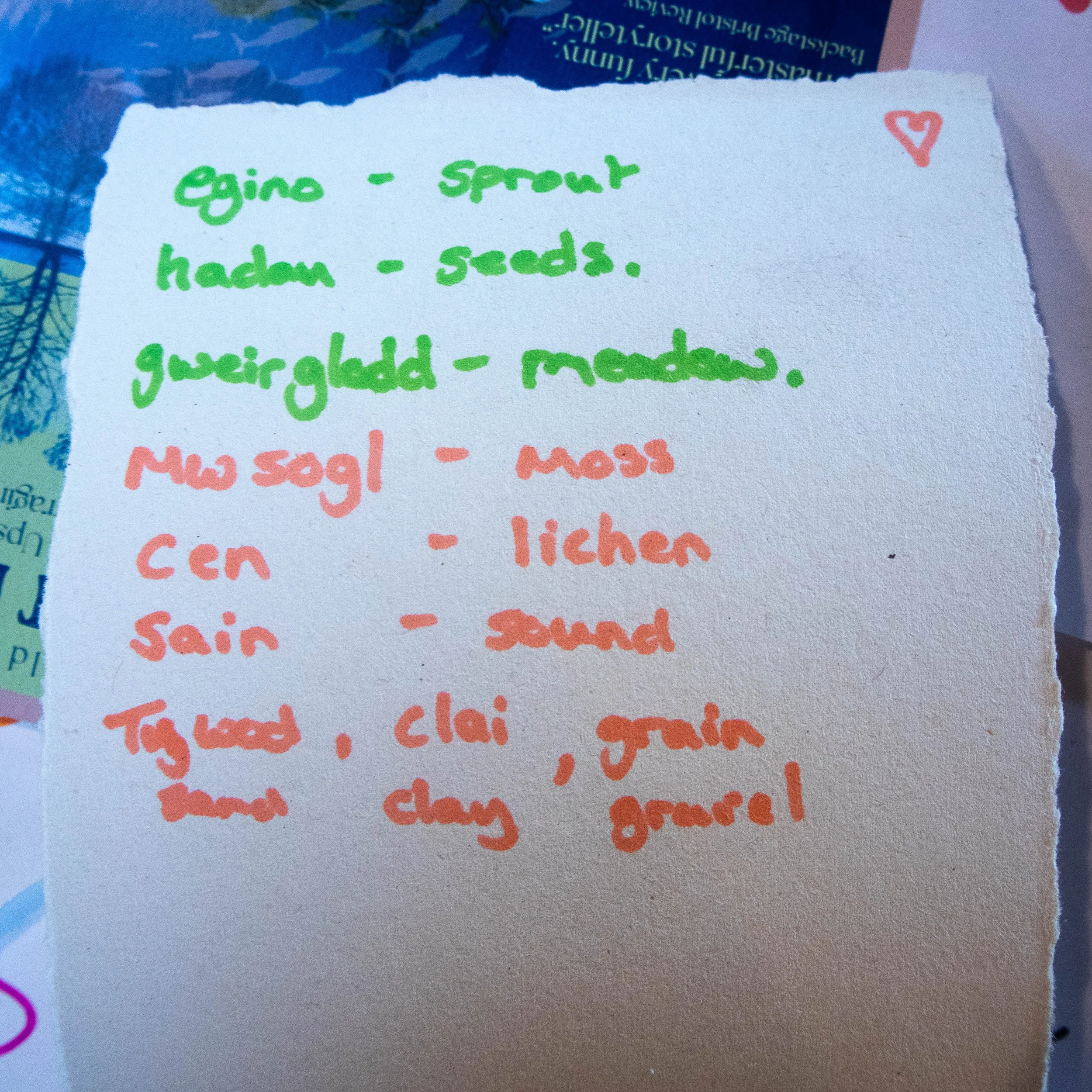 Gwrych Coed Gwydr-50.jpg