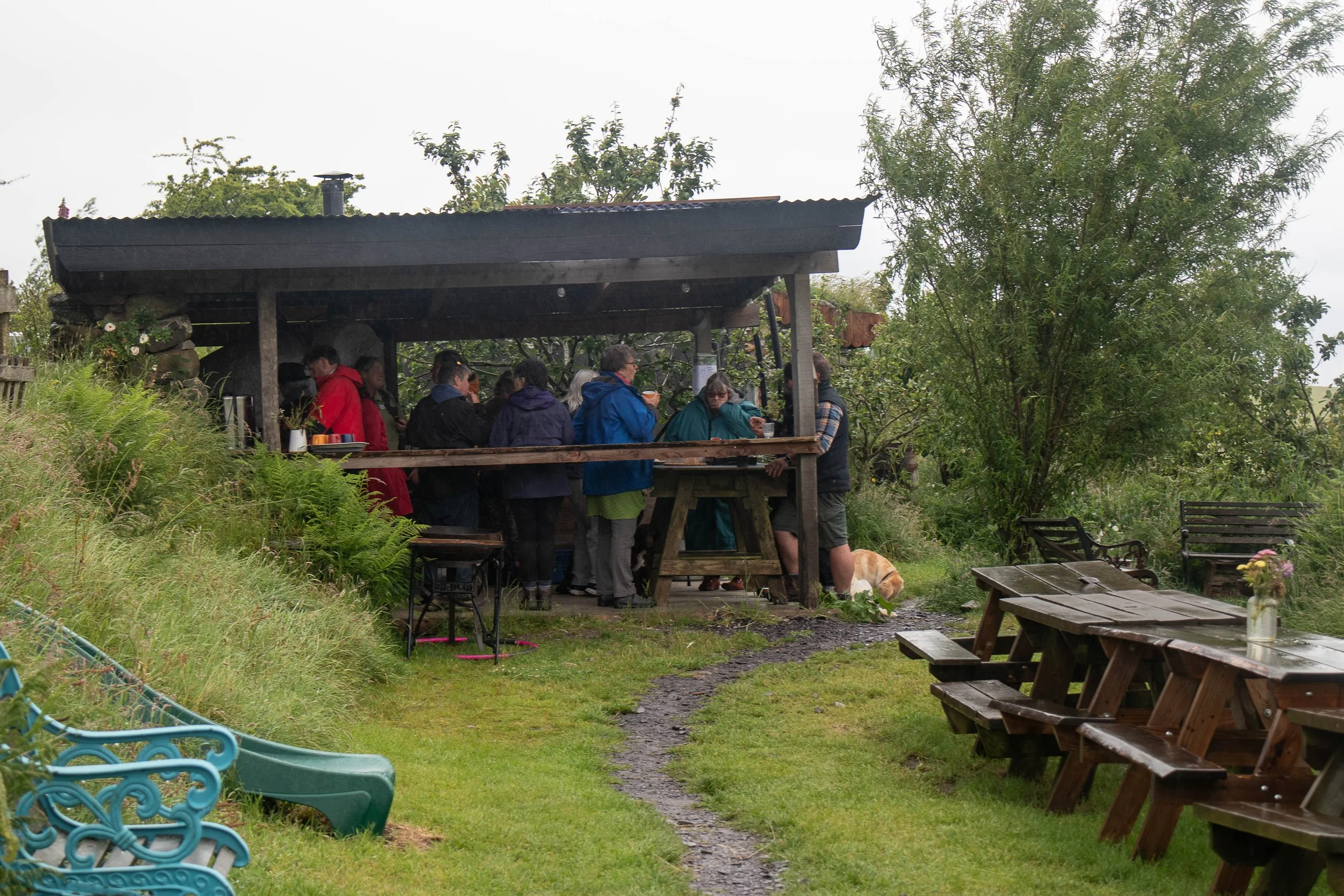 Gwrych Coed Gwydr-44.jpg