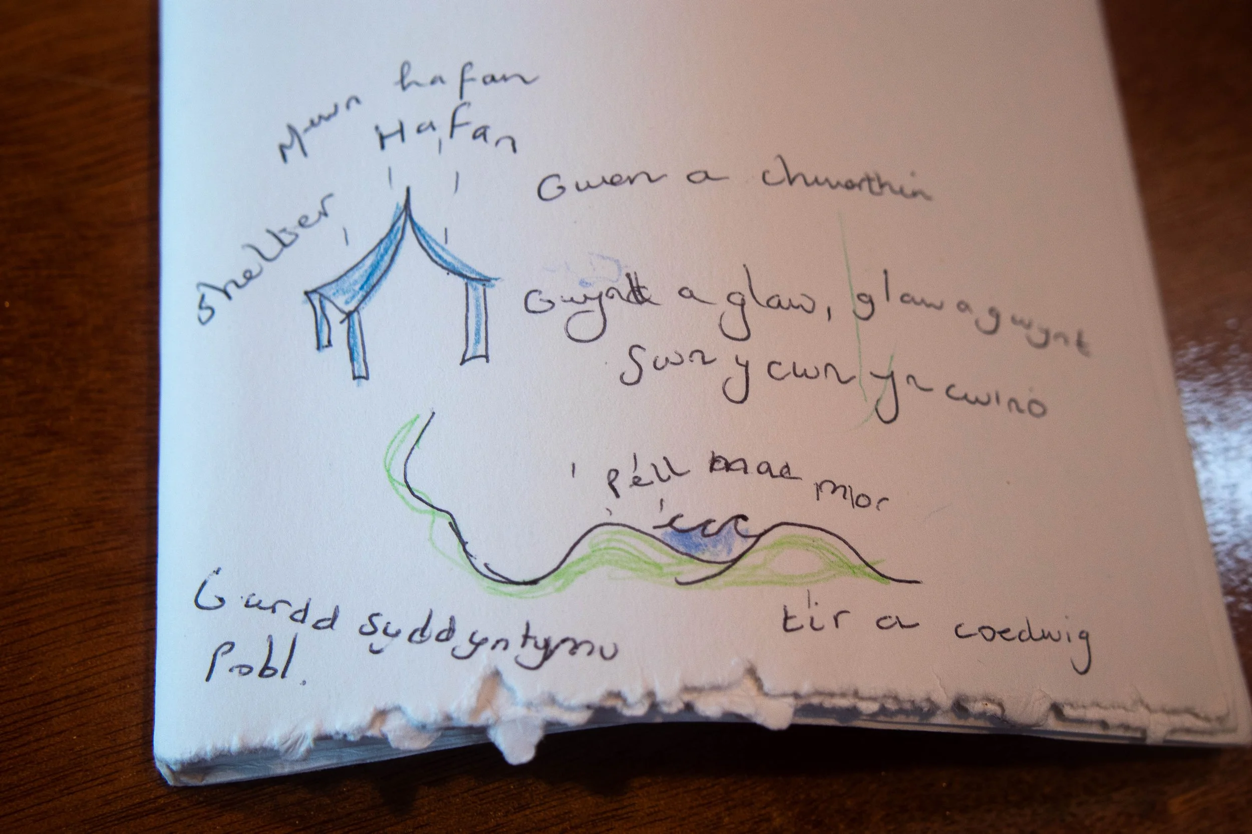Gwrych Coed Gwydr-46.jpg