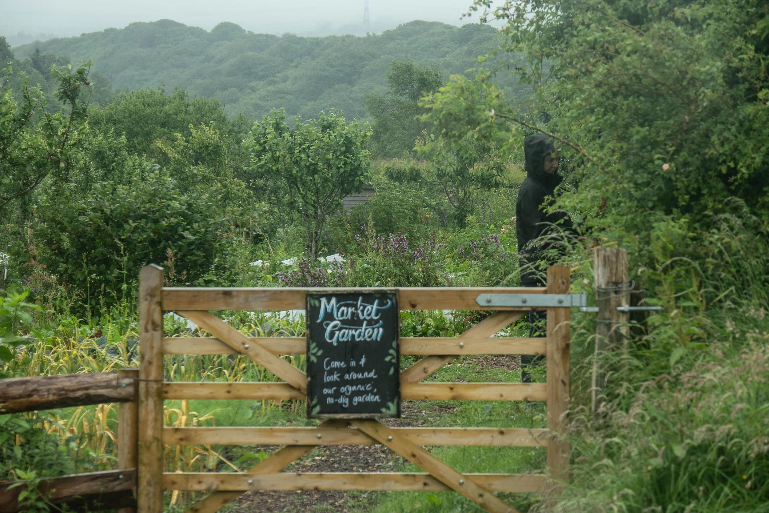 Gwrych Coed Gwydr-40.jpg